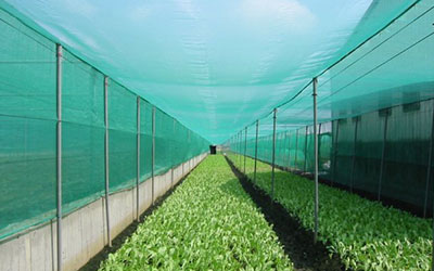 Sahding Net Agriculture Applications Samtone Industries