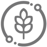 Agriculture Samtone Industries