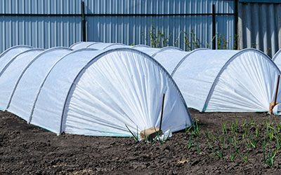 Non Woven Crop Cover Samtone Industries