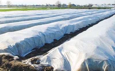 Mulch Film White Masterbatch Samtone Industries